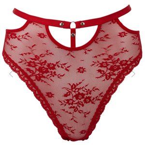Killstar Sheer Evil Scarlet Red Lace Panty XXL NWT